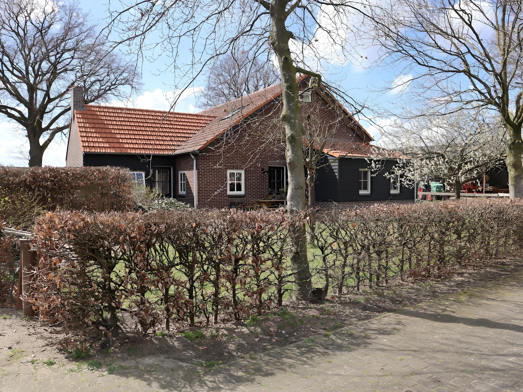 Photo 13