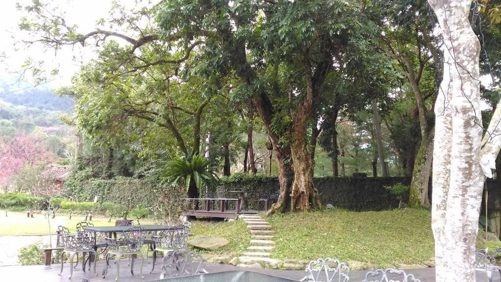 Photo 42