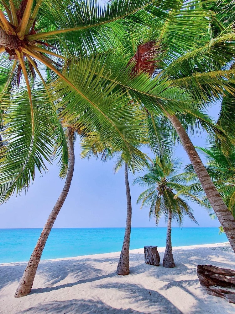 Blue Coral Vashafaru