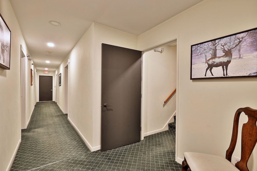 Rent An Inn! Takeover The Birch Ridge W/ Your Group. Mountain Lodge: 11 Rooms, Bar, Fireplace. 28ppl 11 Bedroom Home
