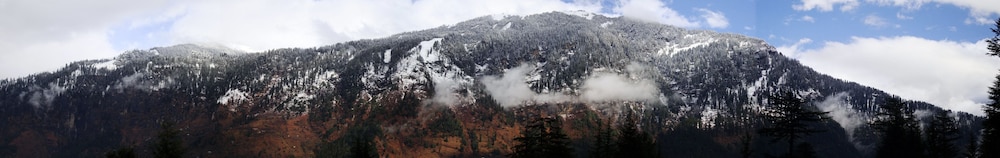 Photo 47