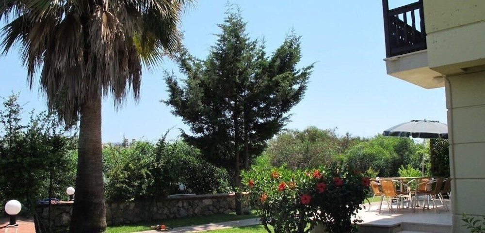 Photo 12