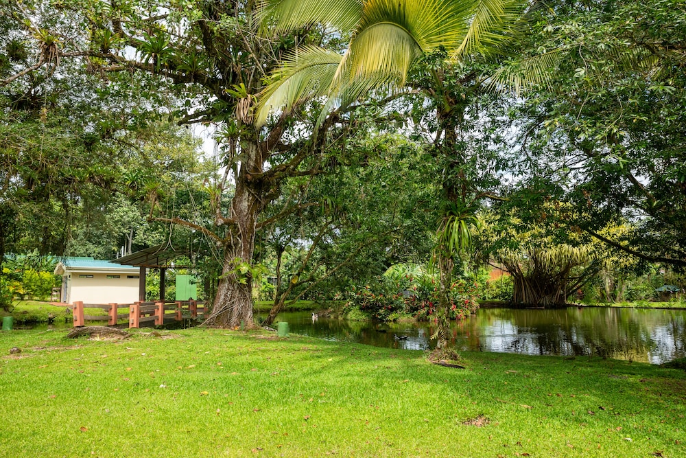 Villa el Bosque La Fortuna