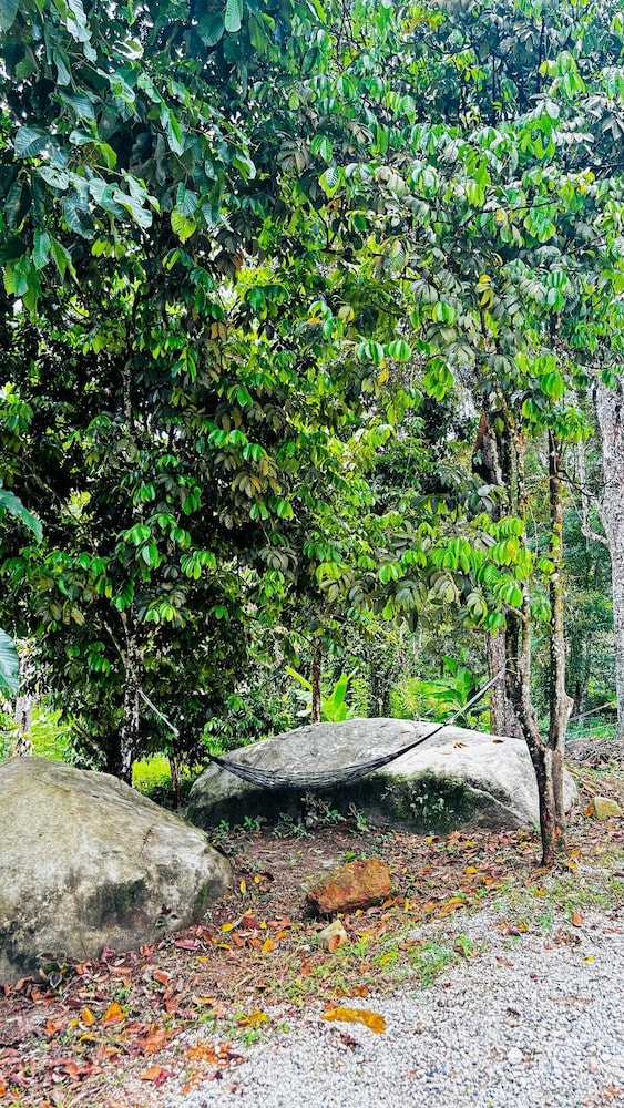 Hotel O Jerai Nature Glamping