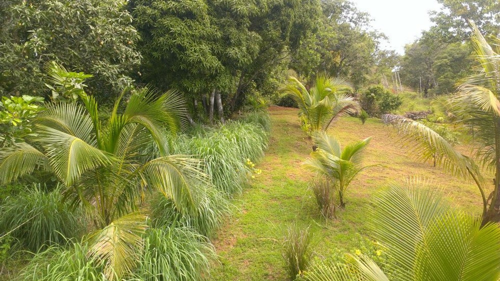 Photo 33