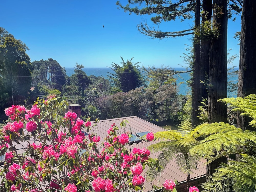 Rendezvous Mendocino