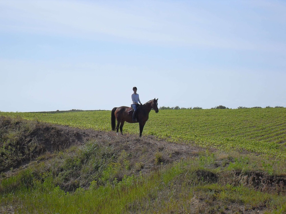 Photo 44