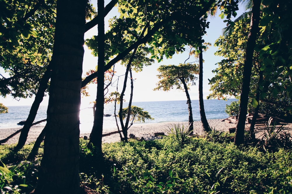 Ylang Ylang Beach Resort
