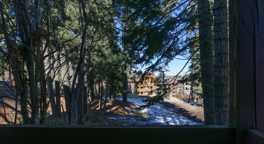 4033 Ski Trails