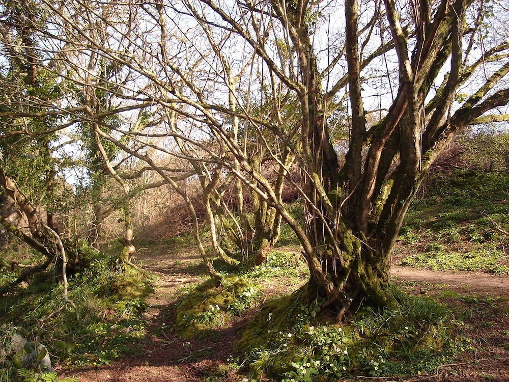 Photo 27