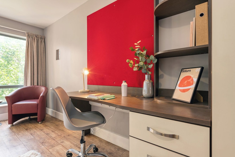 Student Only Dashwood Studios