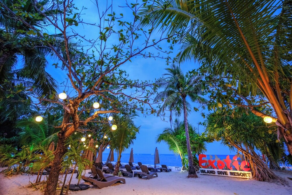 Malapascua Exotic Island Dive and Beach Resort, Daanbantayan - 17