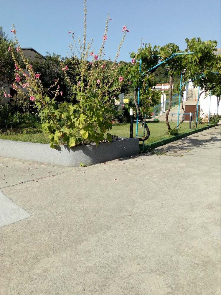 Photo 7
