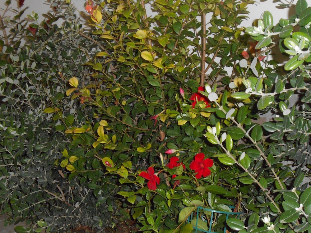 Photo 26