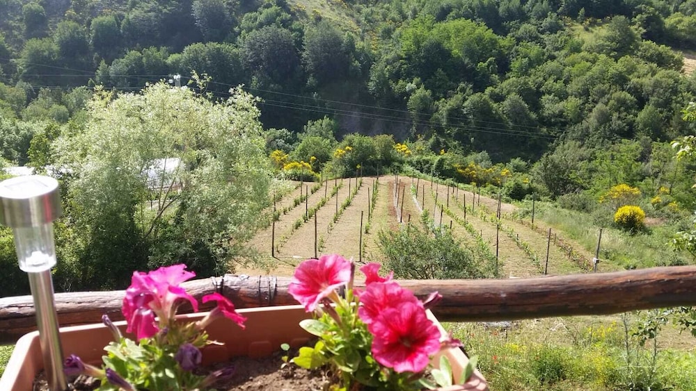 B&B Il Ghiro - Country House
