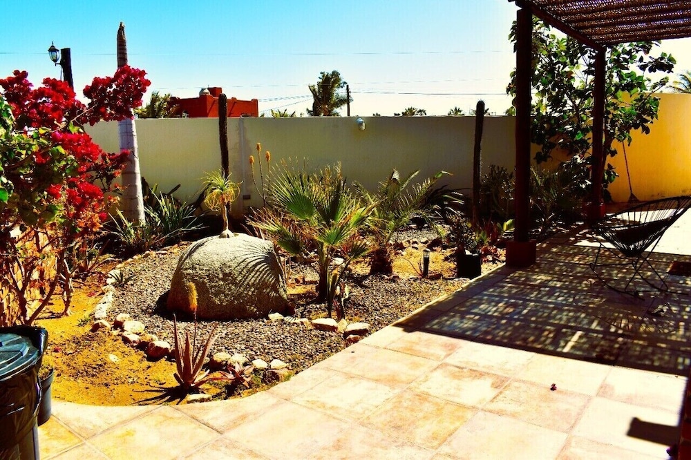 Photo 6