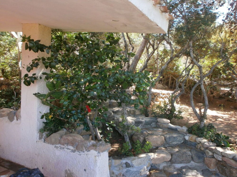 Photo 25