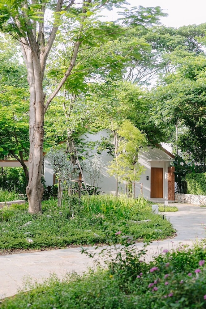 Baan phandao