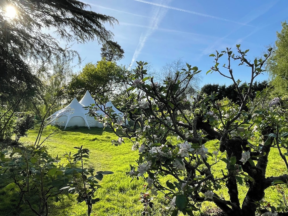 Tranquil Luxury Glamping Escape in Ross-on-wye 8