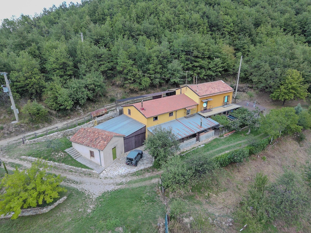 Launiur