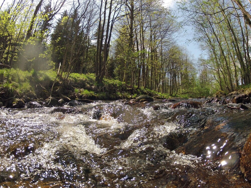Doppelhaushalfte in Hasselfelde