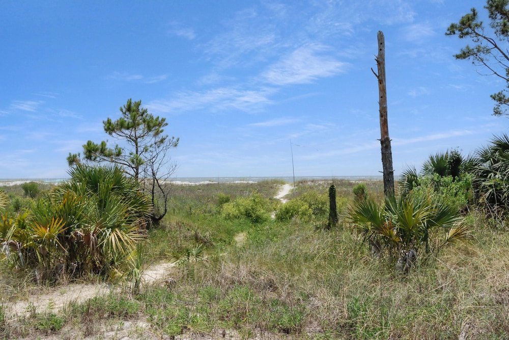 Seminole Wind