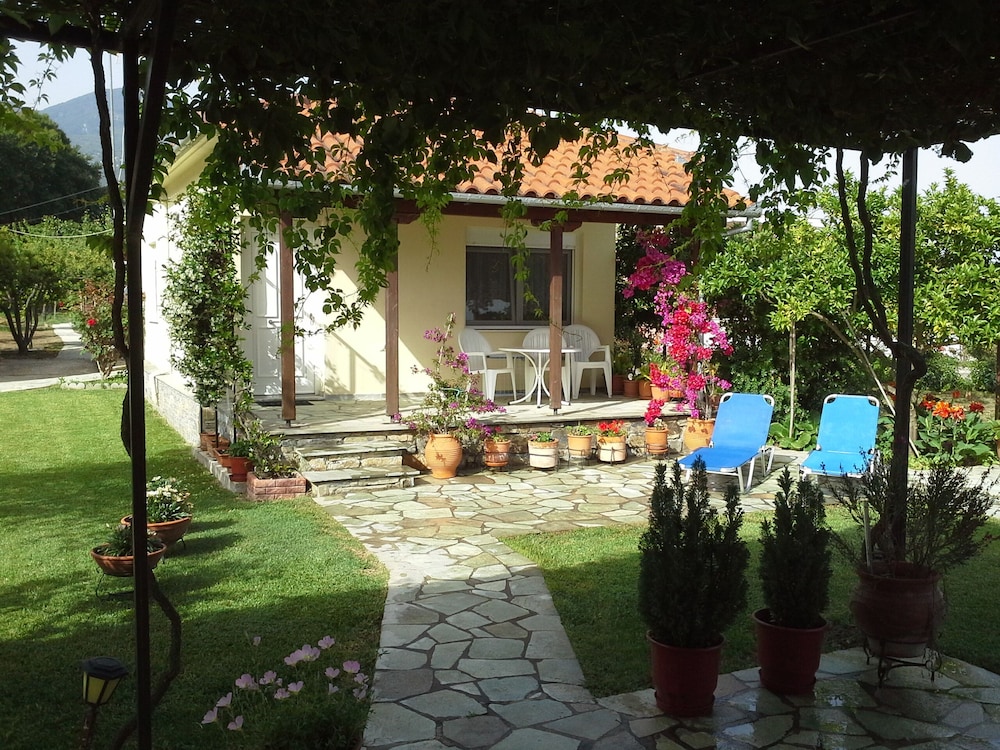 Photo 18