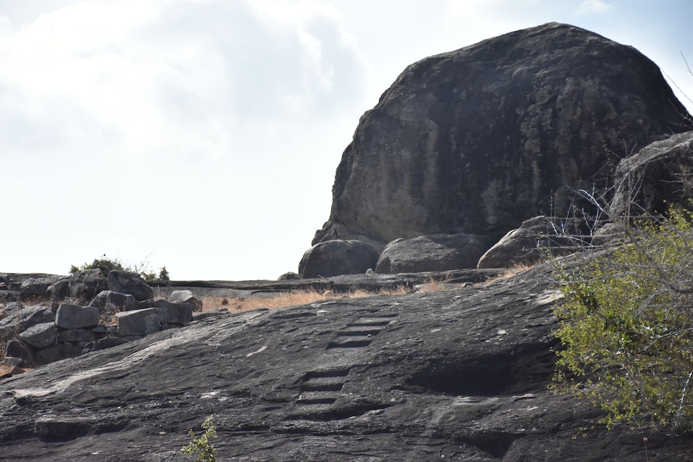 Explorer by Eco Team - Kumana National Park