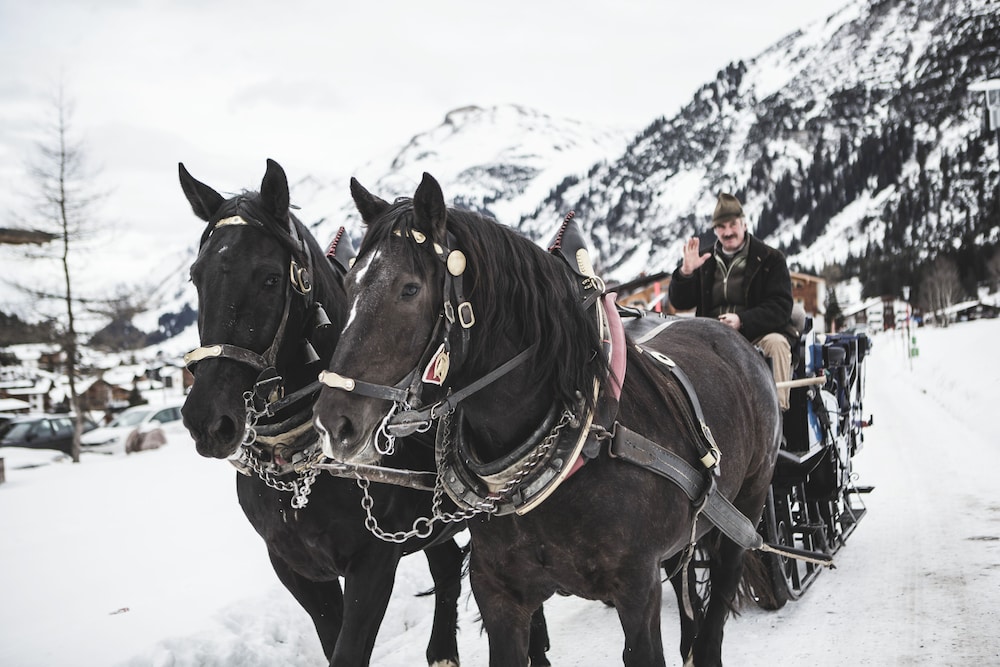 Lech Lodge - LEGENDARY