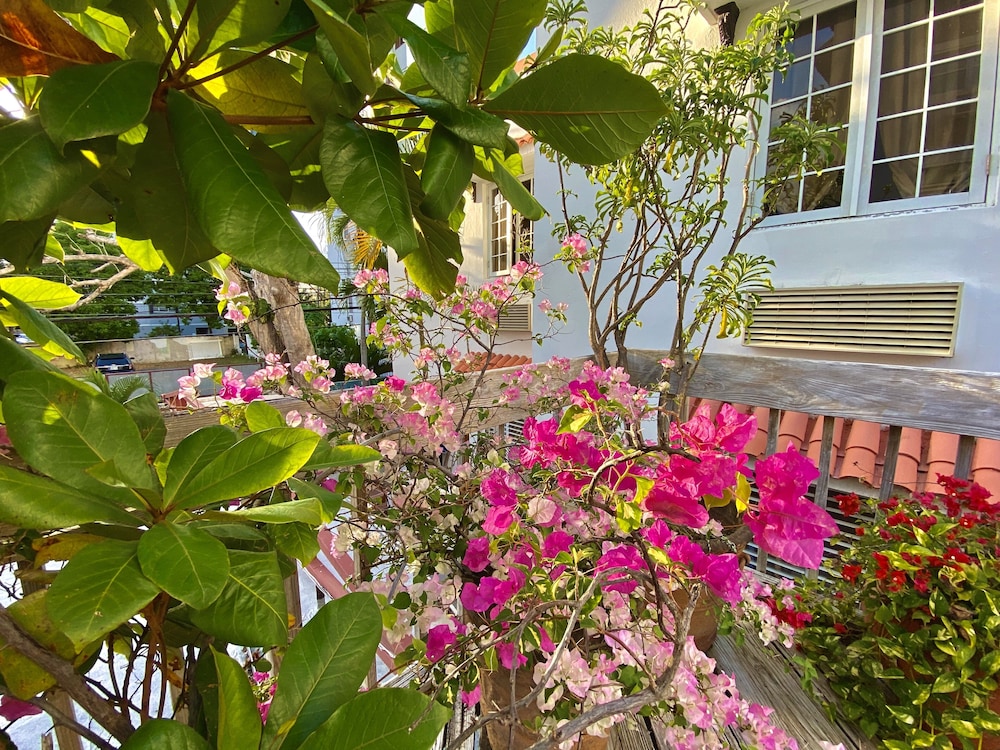 At Wind Chimes Boutique Hotel - Property Image 46