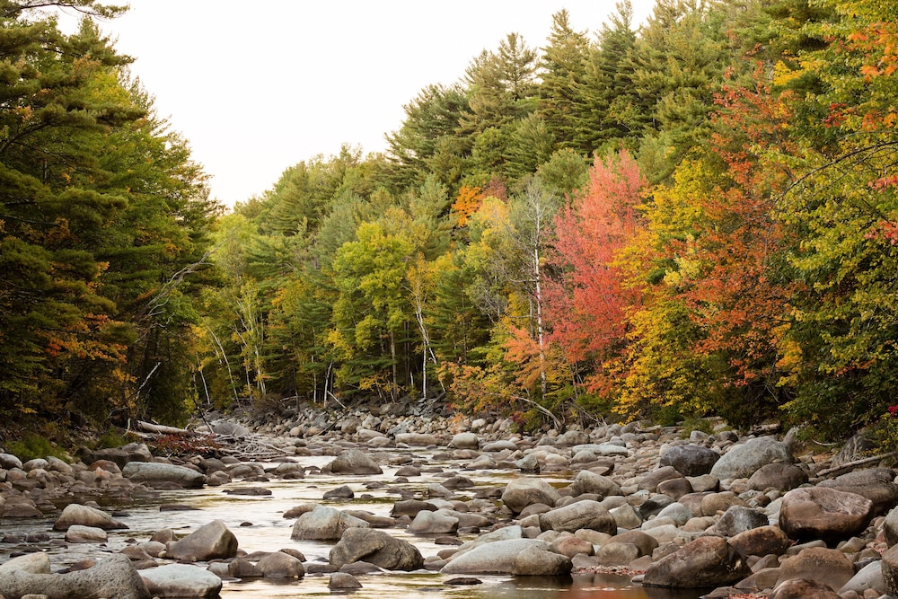 ADK Trail Inn