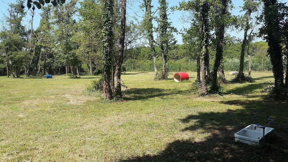 Belvedere Pineta Camping Village