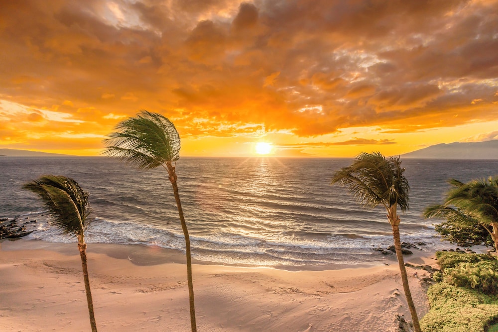 Polo Beach Club Vacation Rentals - APlus Resorts