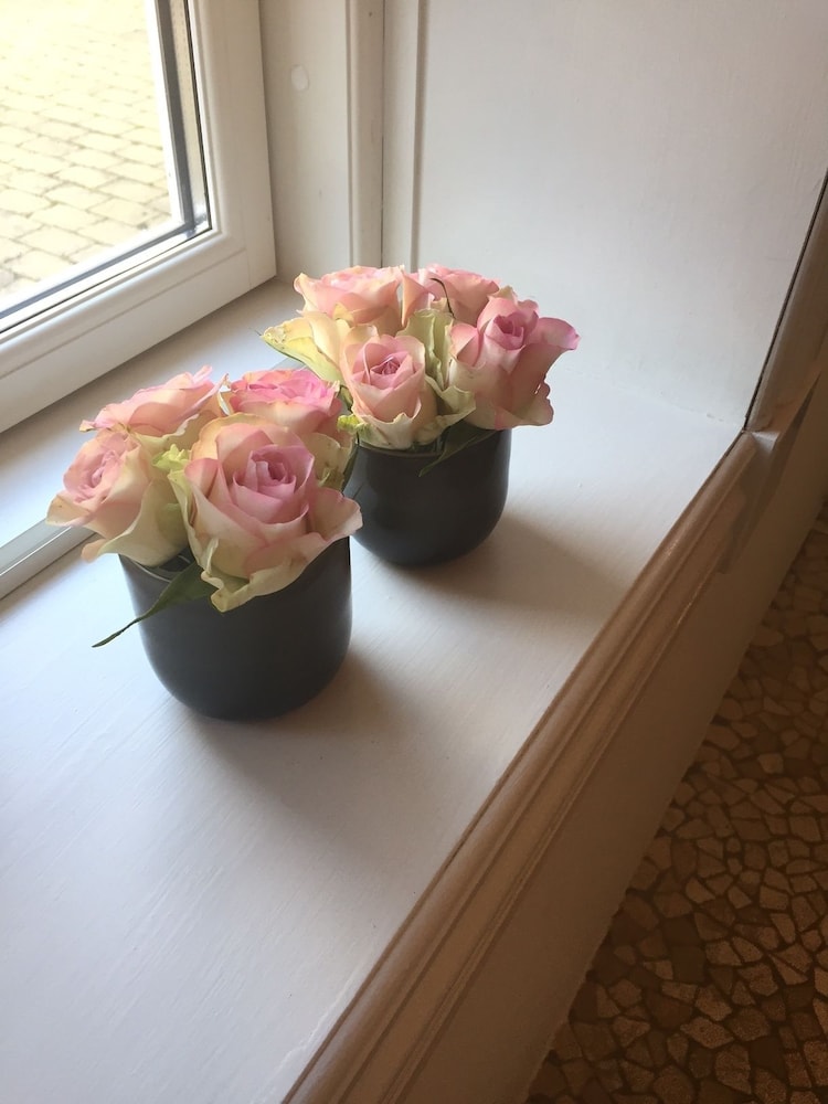 Alsbrogaard Deluxe Bed & Breakfast