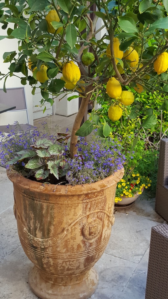 La Maison des Augustins B&B, Spa et Fitness