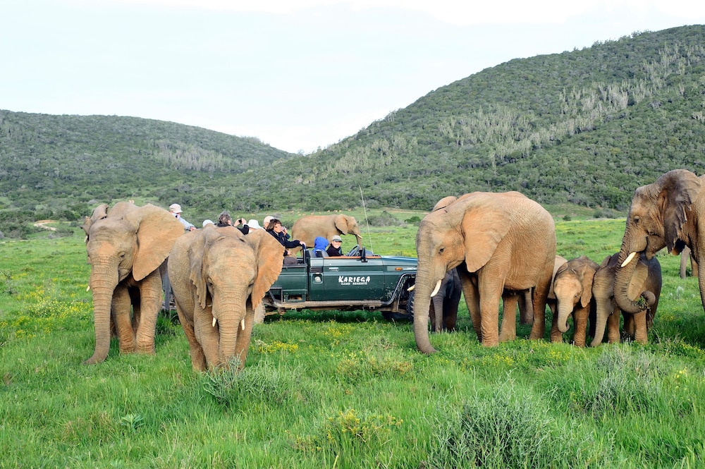 Kariega Game Reserve Settlers Drift