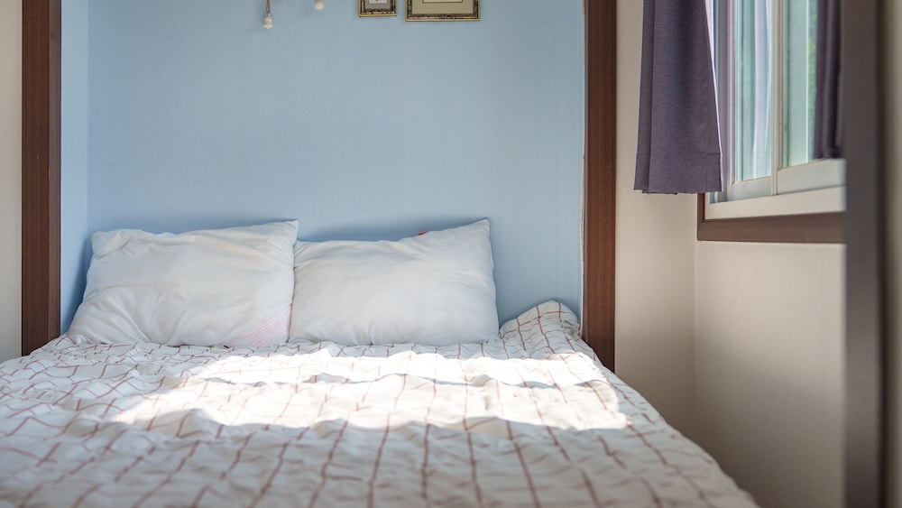 Gapeong Eoneunal Spa Pet Pension