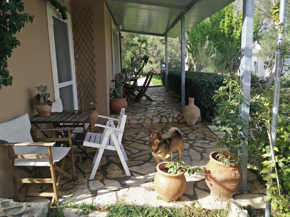 Photo 37