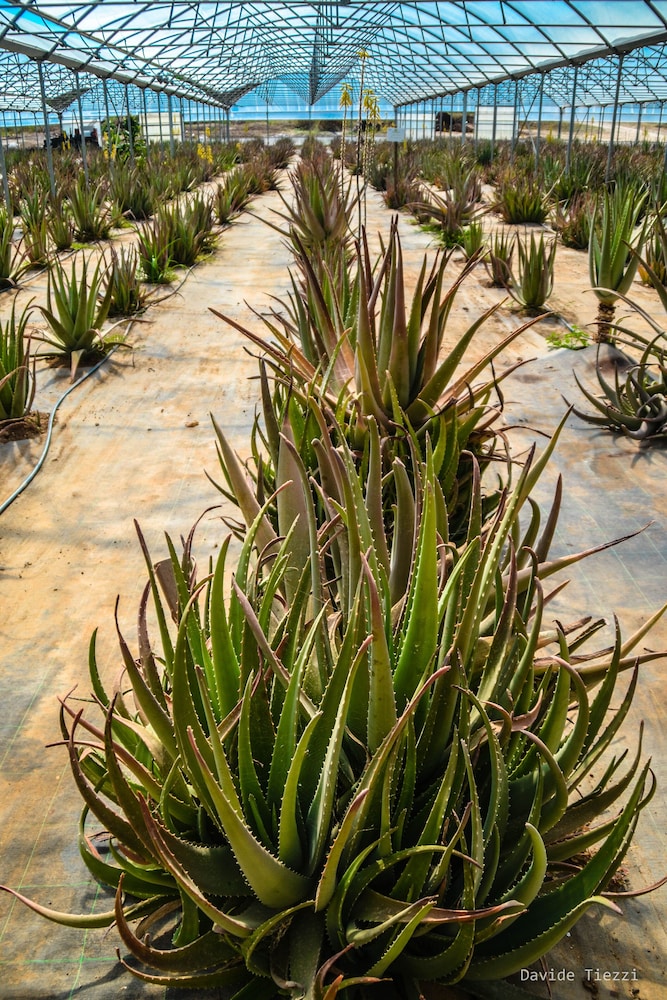 Naturalis Bio Resort & Spa