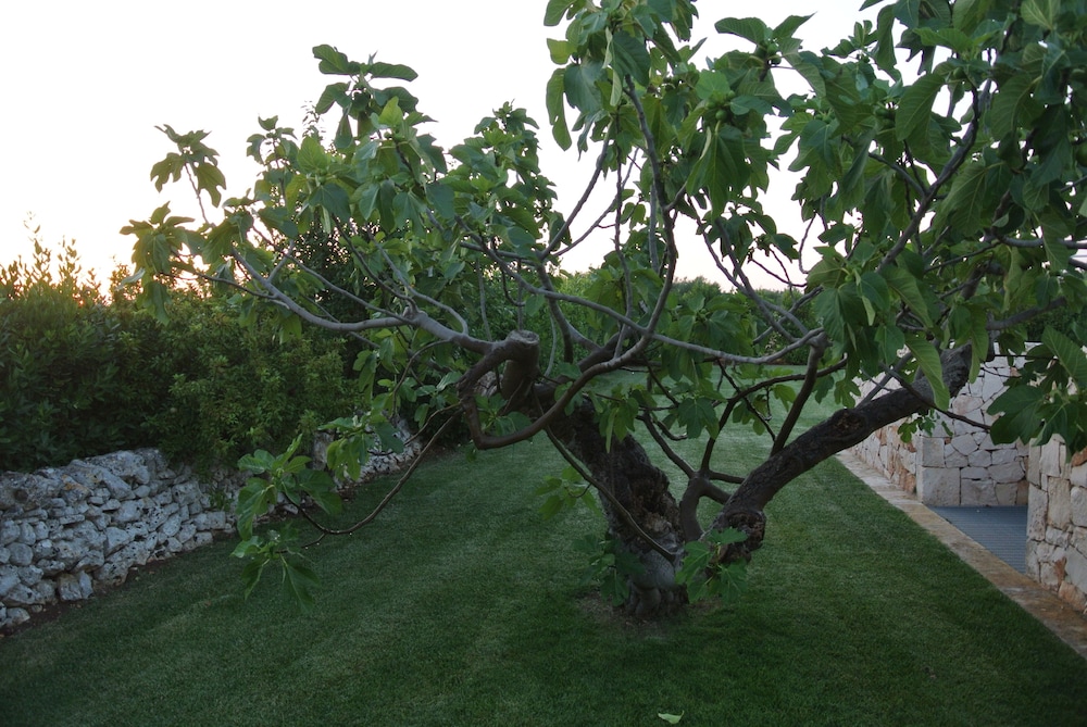 Trulli Paparale