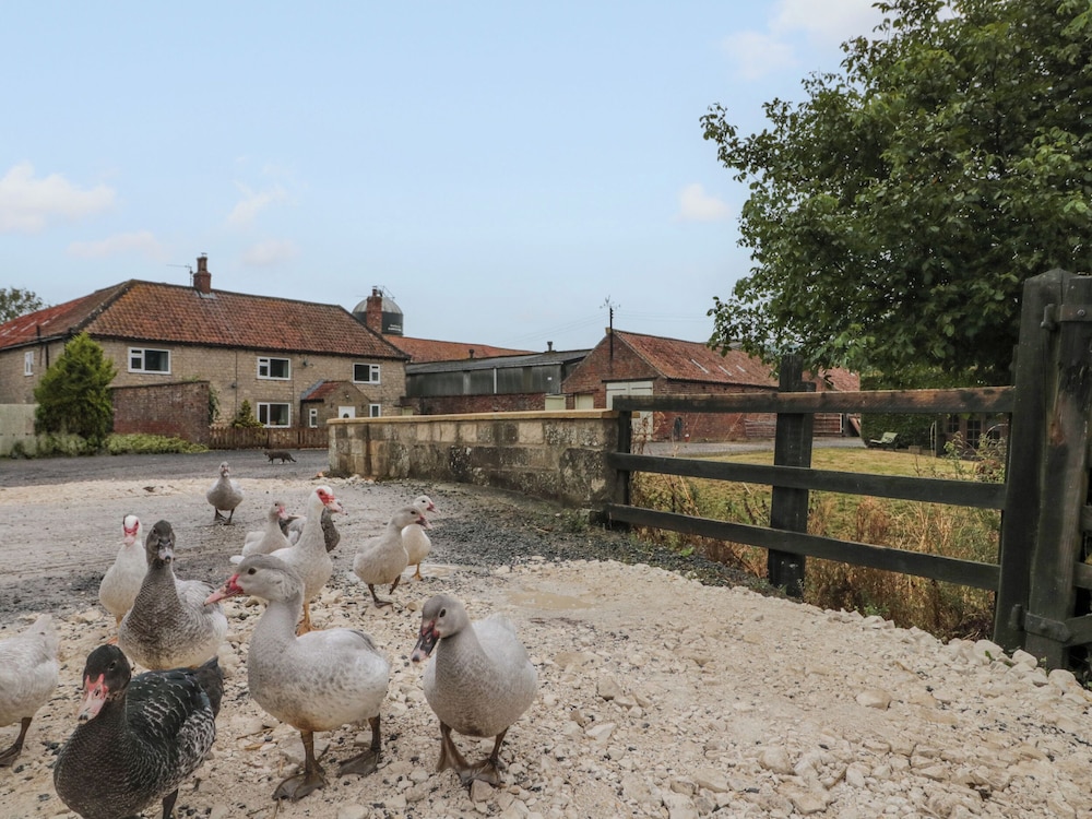 Bellmanear Farm Cottage