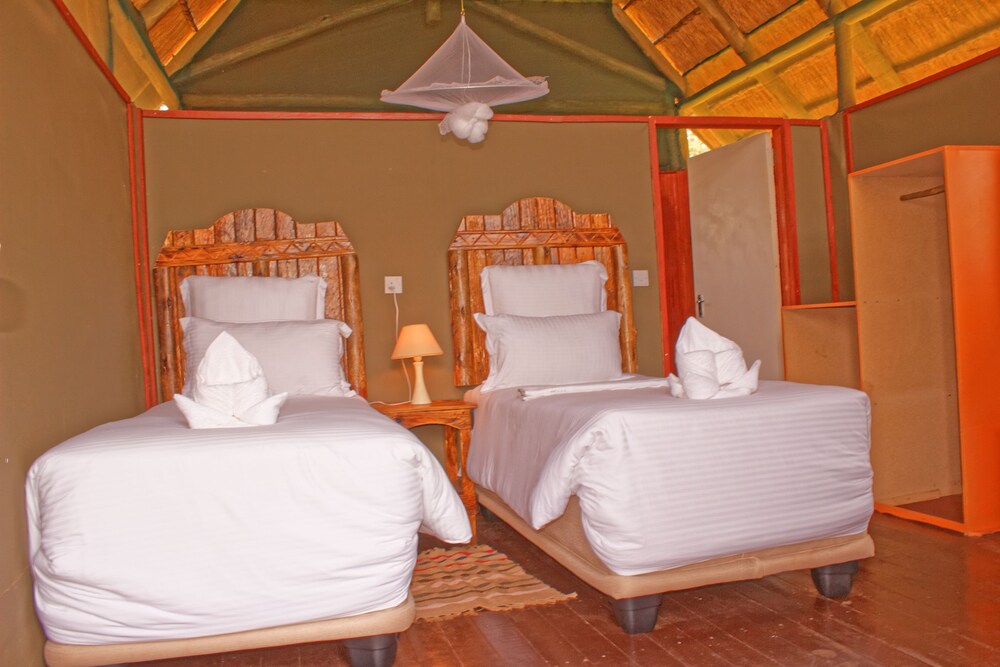 Lion Roars Lodge