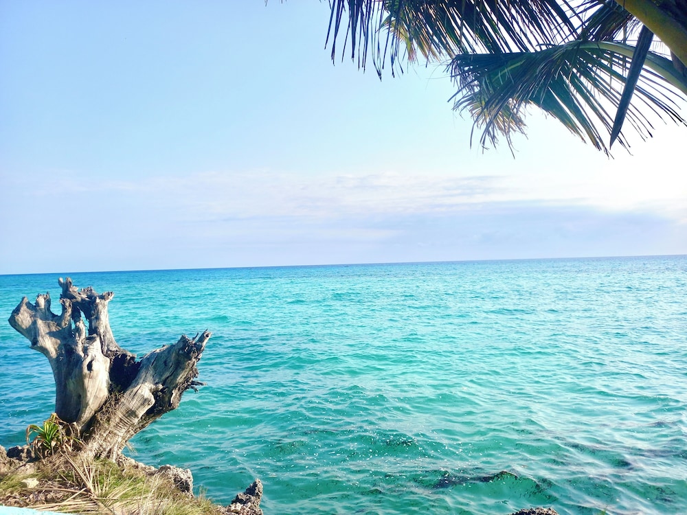 Miska Zanzibar