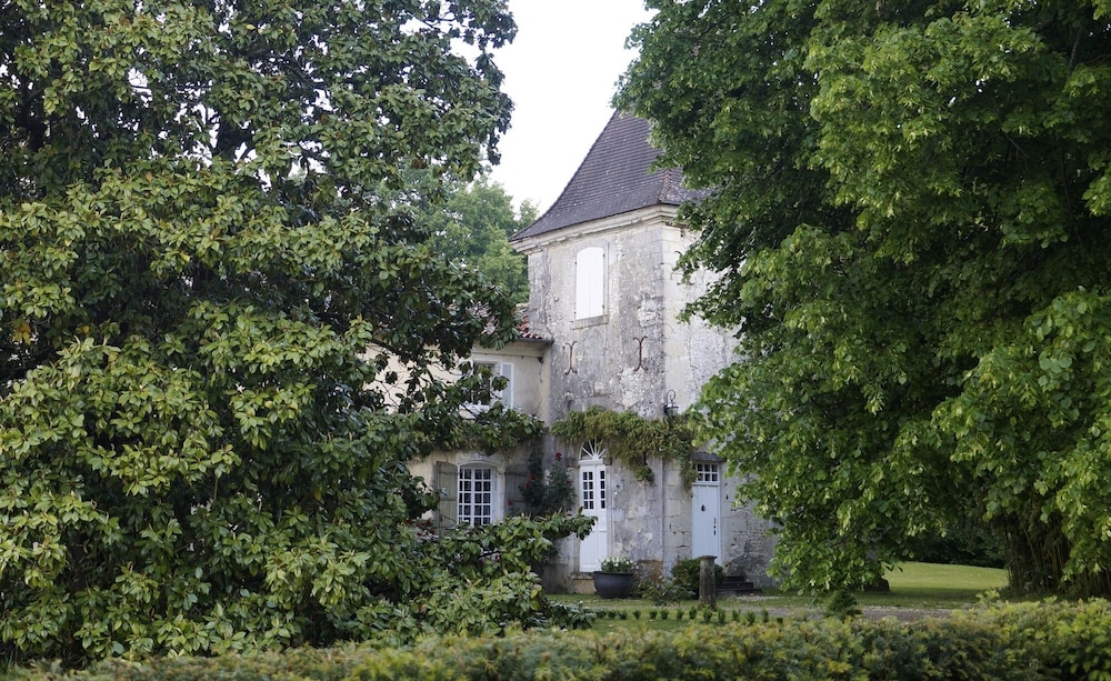 CHATEAU DE PUYRIGAUD - Property Image 27