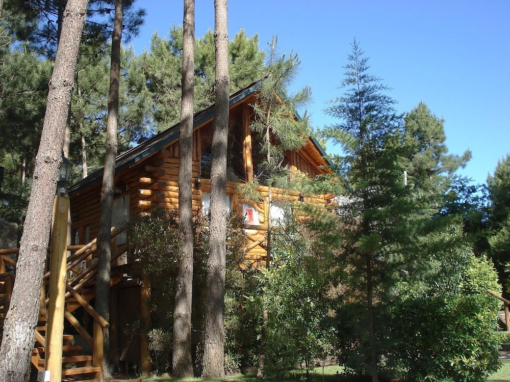 Cabañas Mapuche