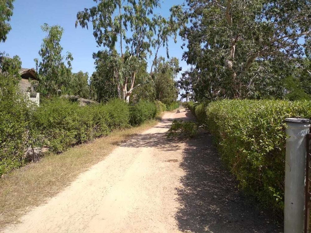 Photo 44