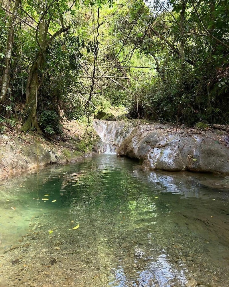 Cabang Campsite