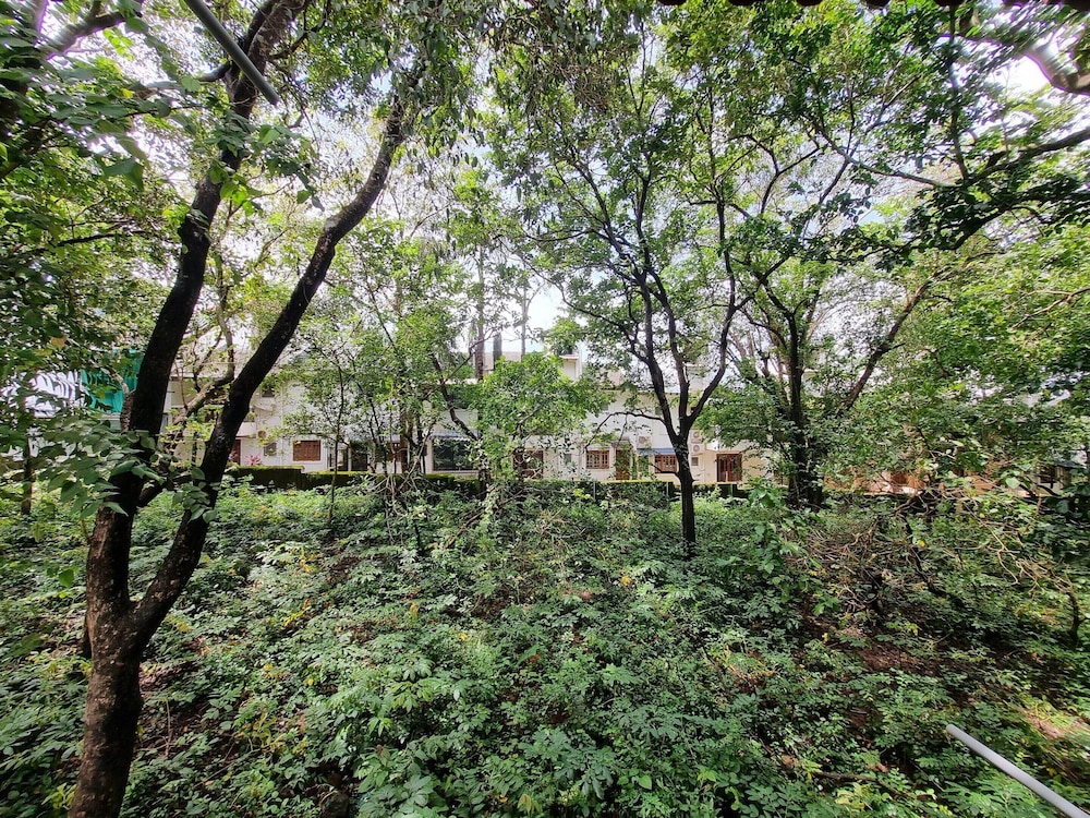 Sereno By Dancenter 1bhk Apartment In Siolim