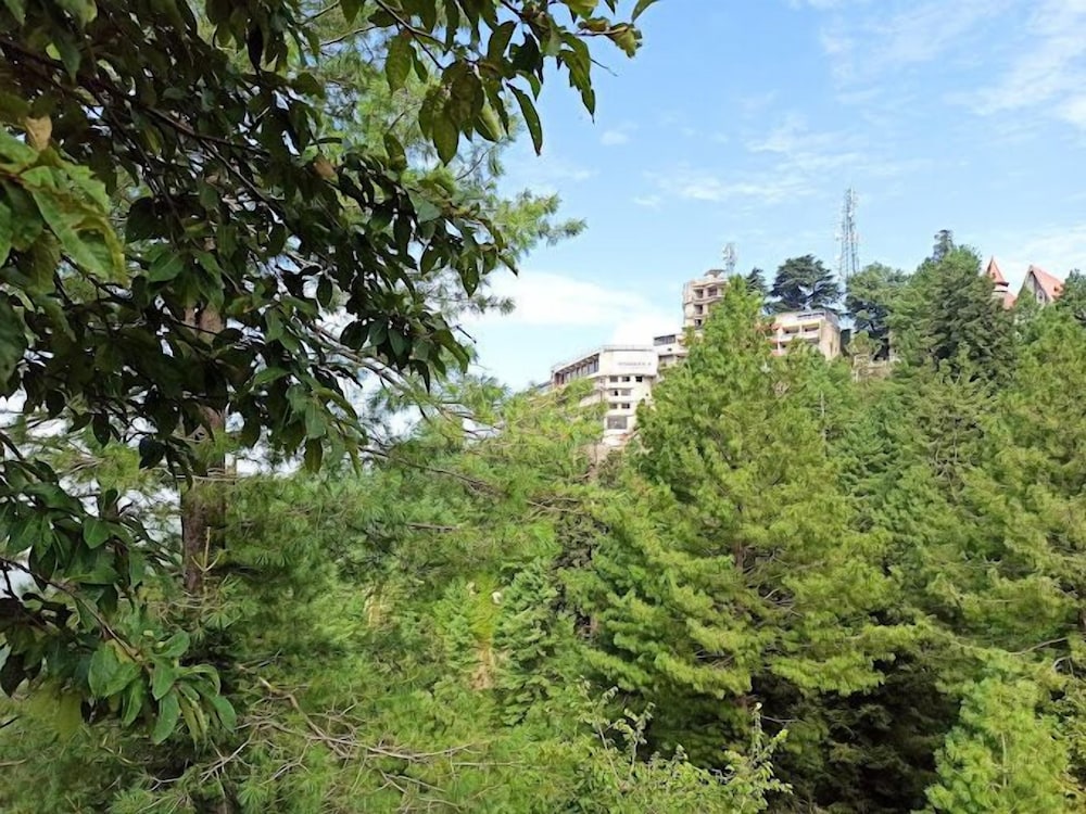 Photo 21