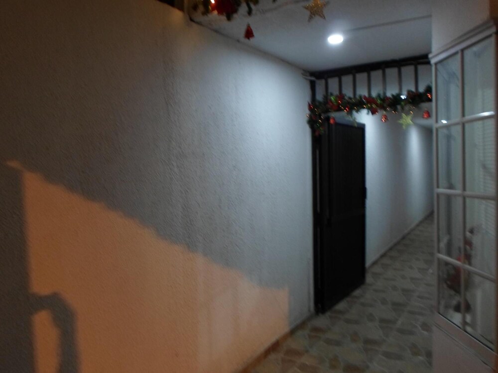 Photo 41